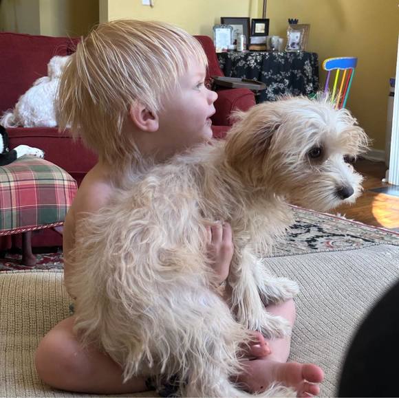 Meet your Posher, Jimmy - Picture 1 of 1